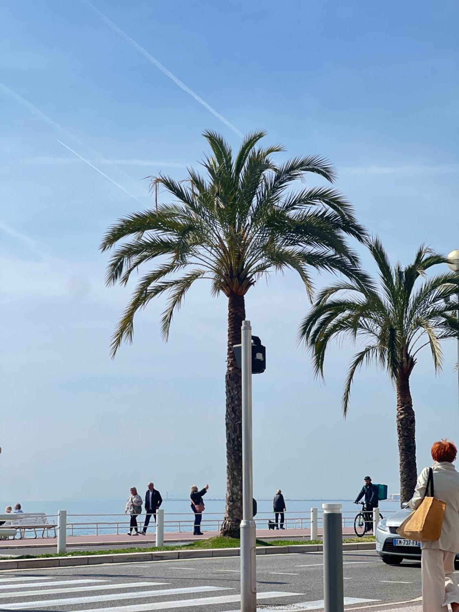Appartamento Le Richemond - 50m De La Nizza